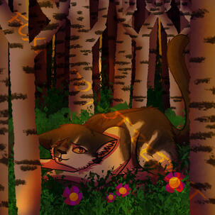 A black and white she-cat with amber eyes named Violetshine lays down in a grassy clearing inside a birch forest. Violets are in the grass, and it is sunset.