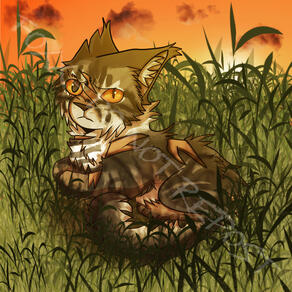 A scarred black and gray tabby tomcat with orange eyes named Shadowsight looks at the camera grimacing, as he lies down in a grassy field and the sun is setting.